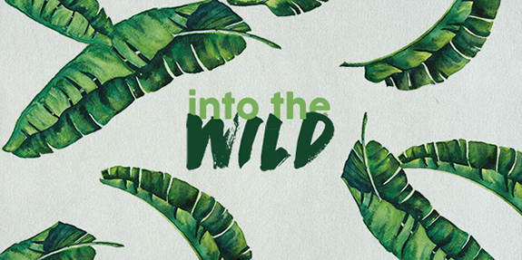 Into The Wild